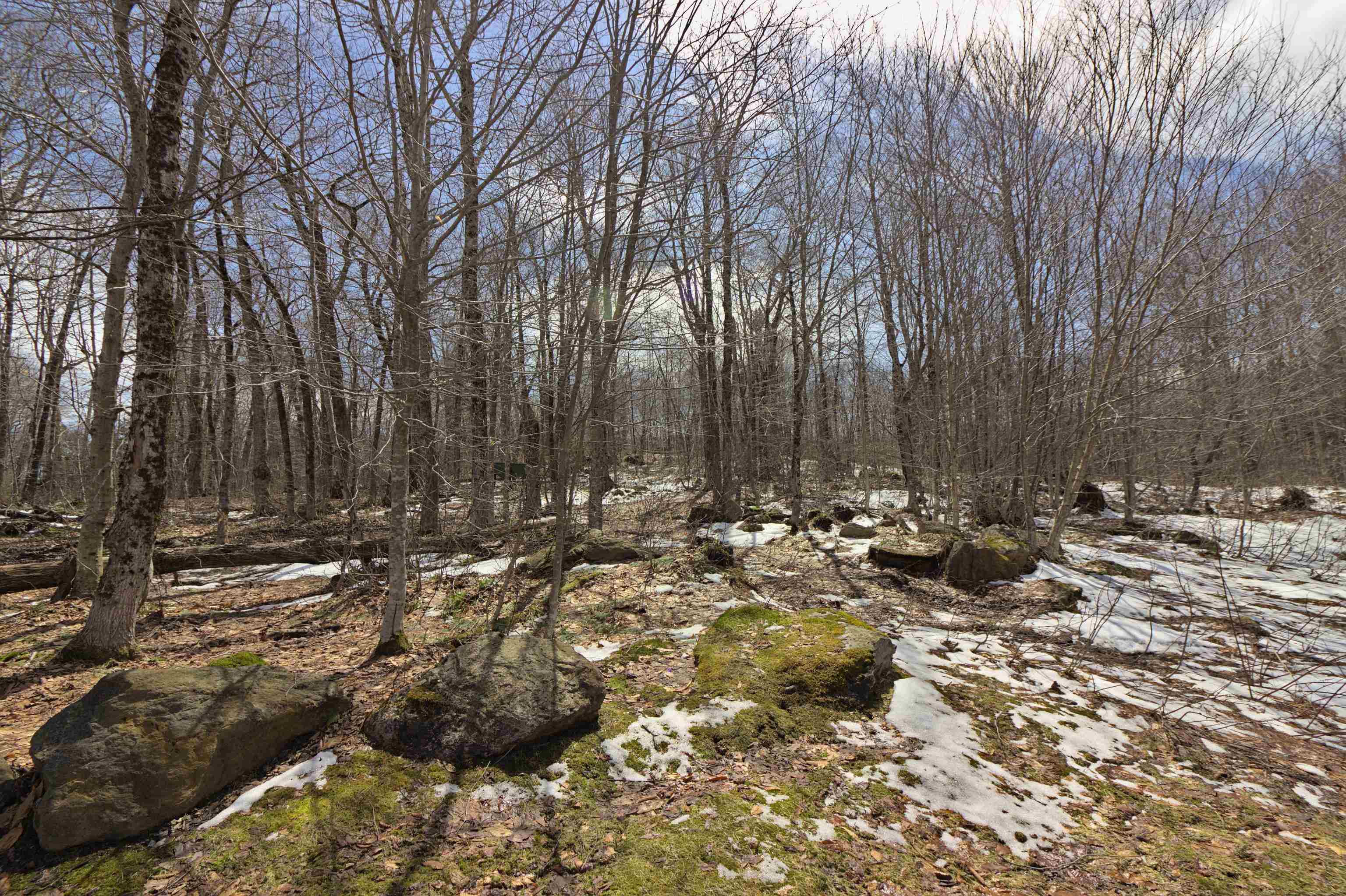 516 Oberdorf Road Readsboro, VT 05350 - Photo 36 of 42