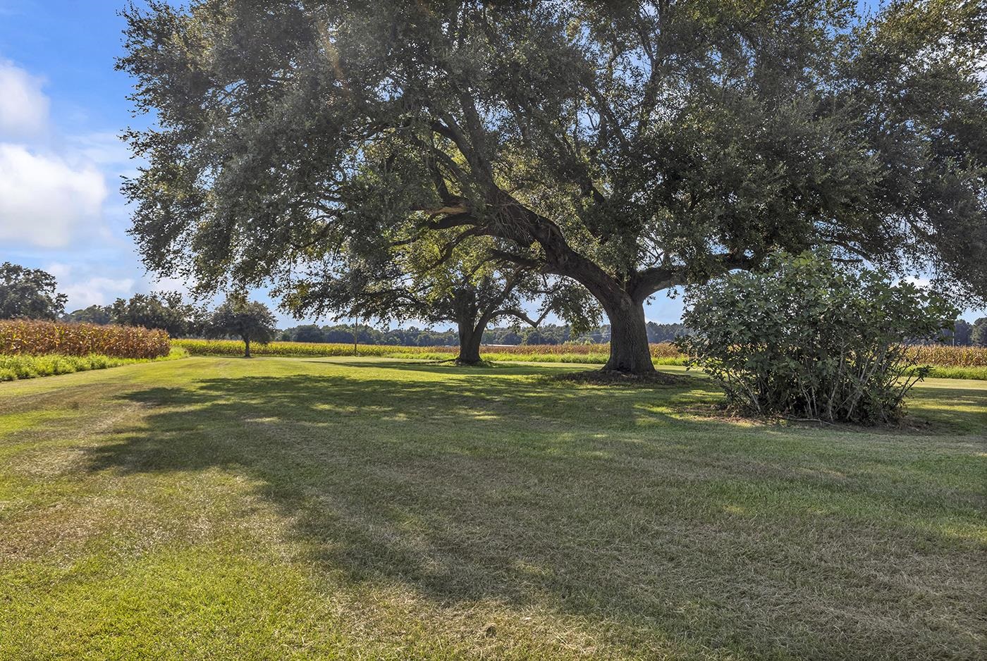 3568 State Rd S-14-401 Alcolu, SC 29001 - Photo 6 of 65 Gallery Image 6