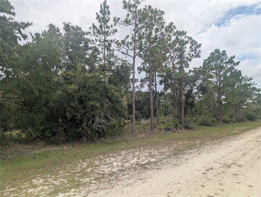 Gaillardia Drive Frostproof, FL 33843 - Photo 3 of 45 Gallery Image 3