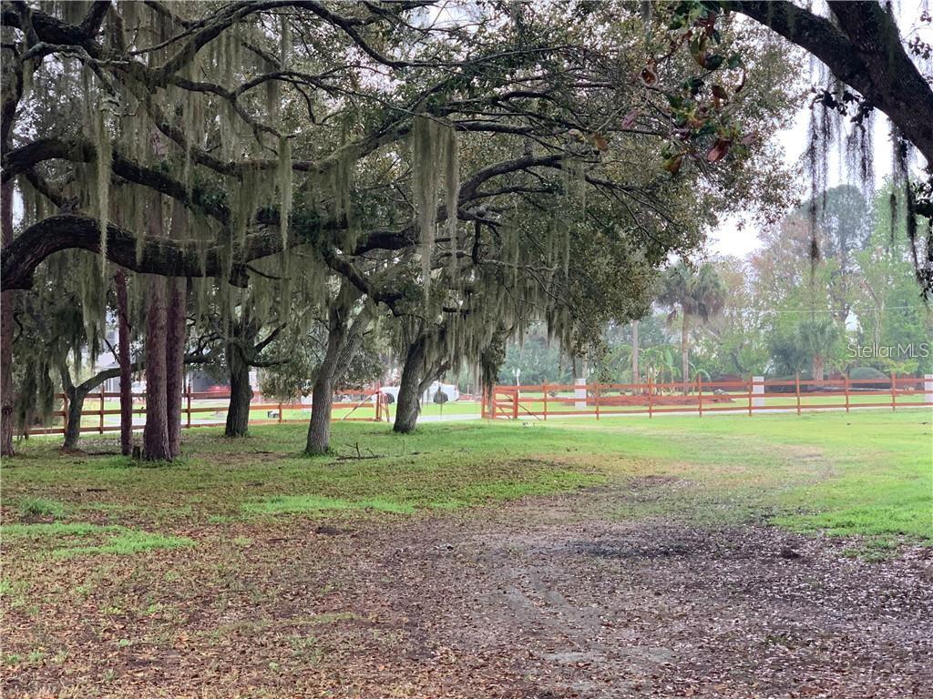 Marjorie Rd Street St. Cloud, FL 34772 - Photo 2 of 8 a view of a park with large trees