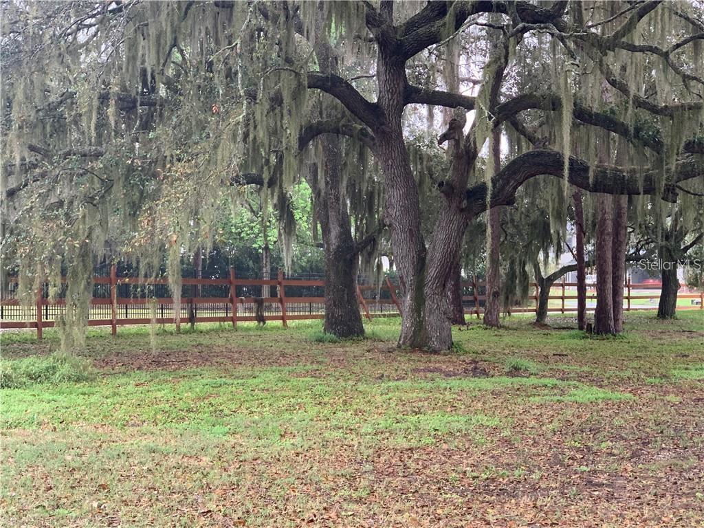 Marjorie Rd Street St. Cloud, FL 34772 - Photo 3 of 8 a backyard of a house with lots of green space