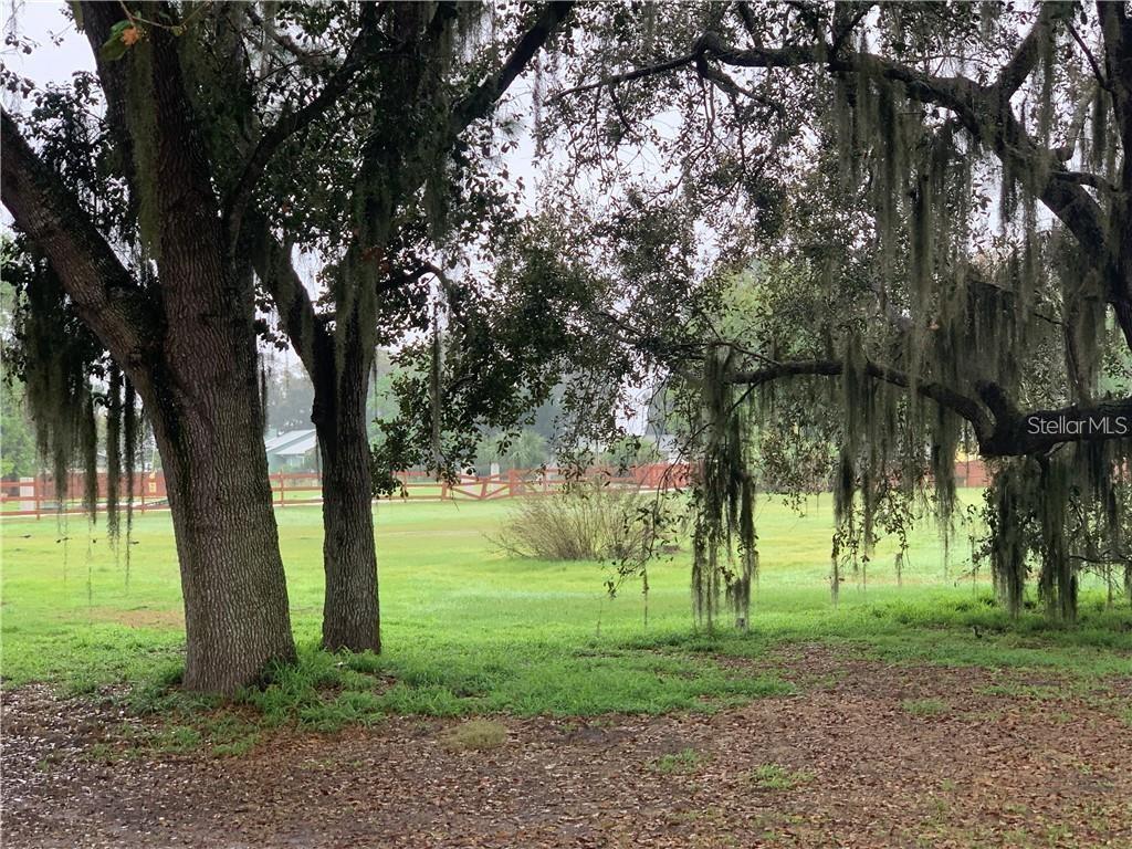 Marjorie Rd Street St. Cloud, FL 34772 - Photo 4 of 8 a view of a yard with tree s