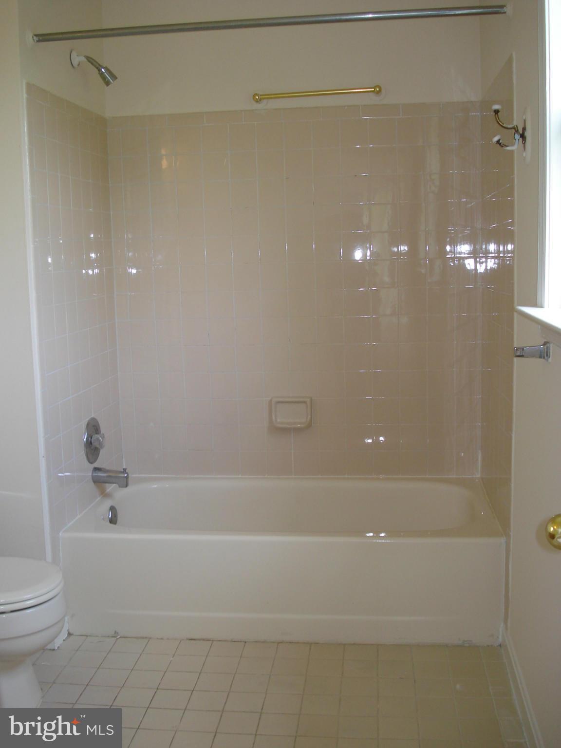 1213 East Randolph Road Silver Spring, MD 20904 - Photo 13 of 29 Bath (Master) Tub