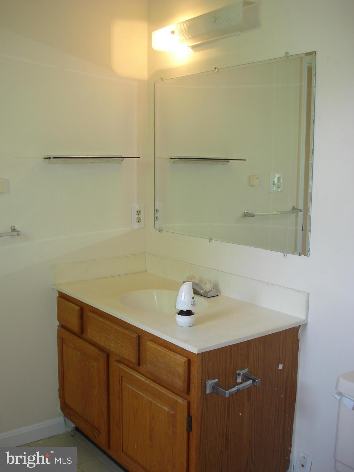 1213 East Randolph Road Silver Spring, MD 20904 - Photo 14 of 29 Bath (Master) Vanity