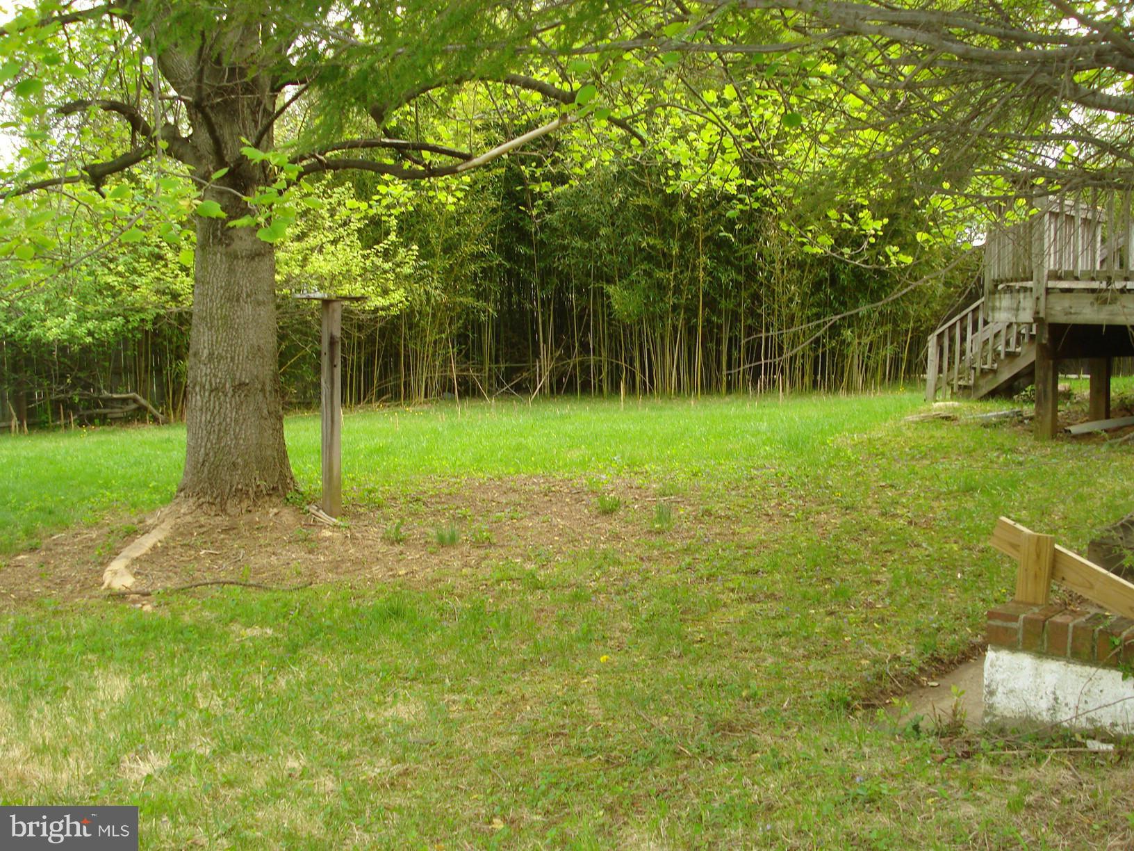 1213 East Randolph Road Silver Spring, MD 20904 - Photo 28 of 29 Back yard 1