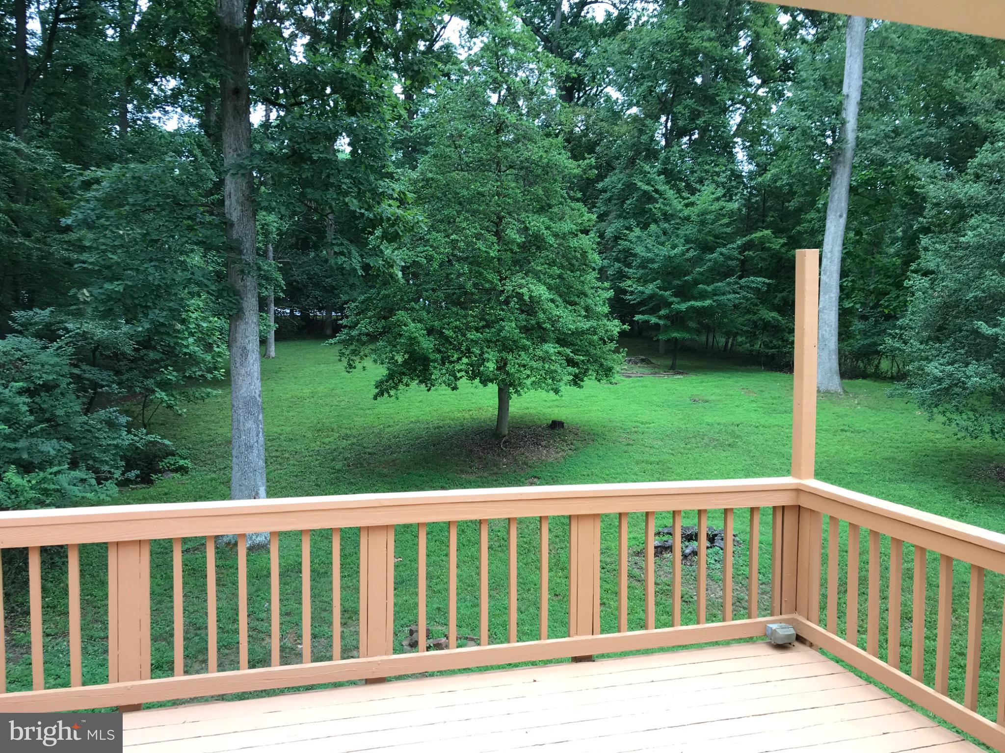 113 Kingsley Road Southwest Vienna, VA 22180 - Photo 13 of 40 Serene backyard retreat awaits you.