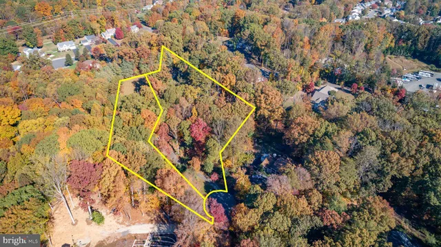 a view of a tree in a yard