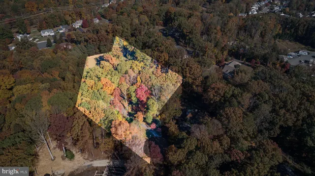 a view of a tree in a yard