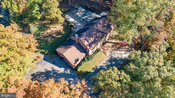 a view of a tree in a backyard of a house