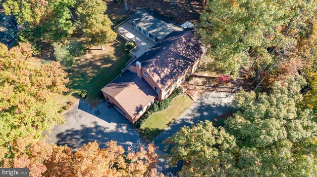 a view of a tree in a backyard of a house