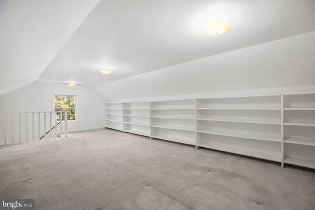 a view of a tree in a yard