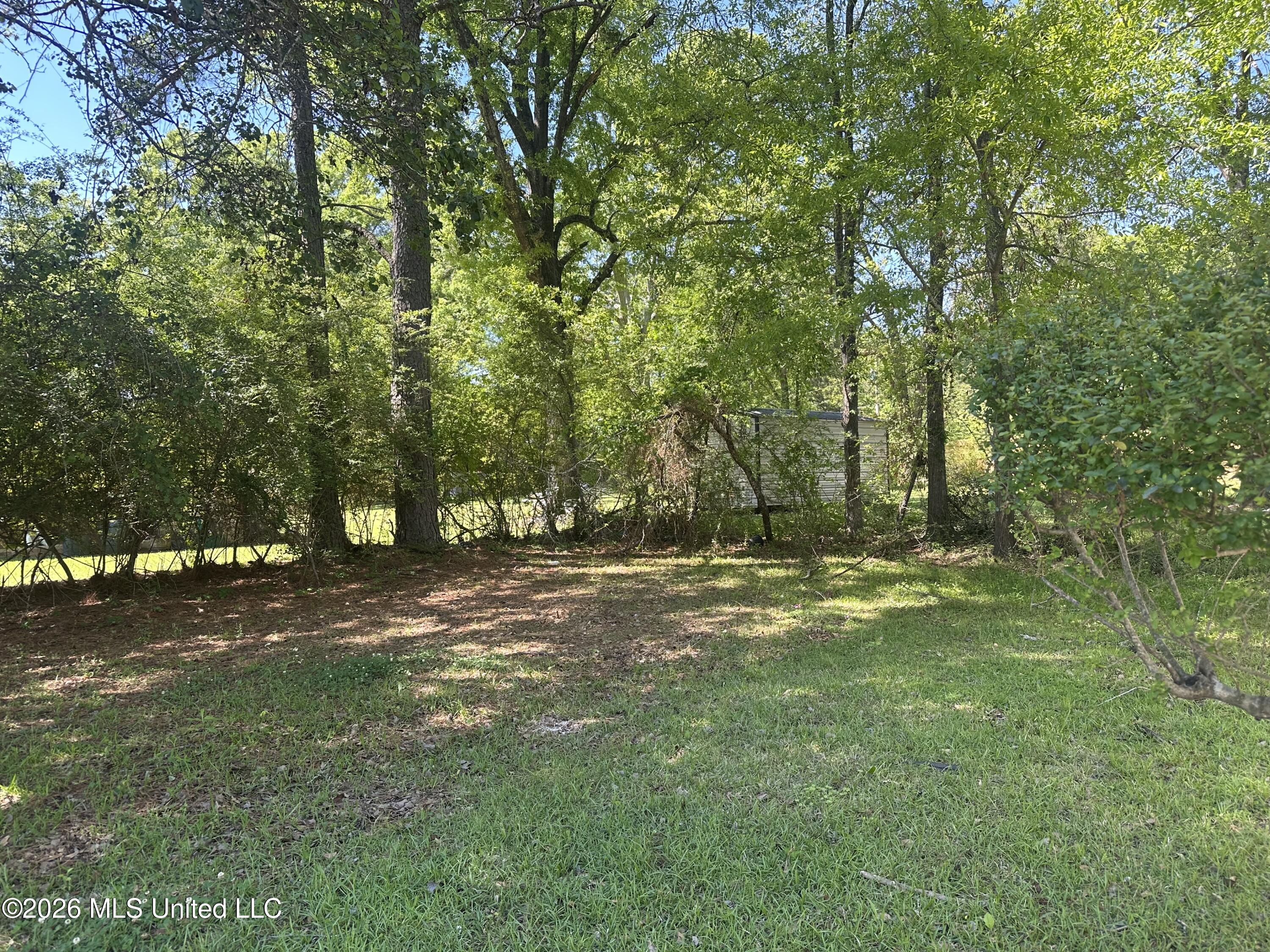 119 Harris Lane Madison, MS 39110 - Photo 33 of 37 IMG_0126