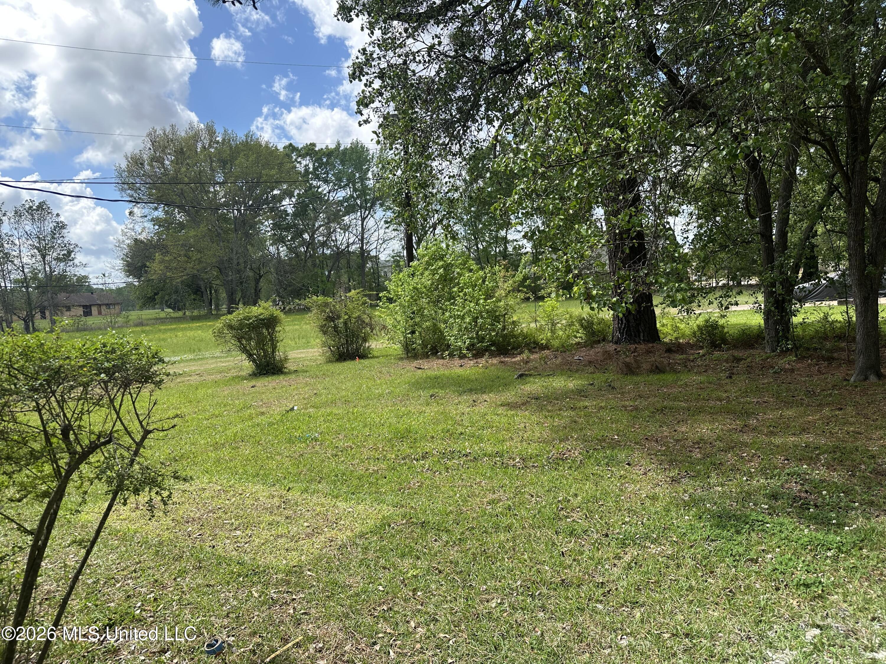 119 Harris Lane Madison, MS 39110 - Photo 35 of 37 IMG_9812