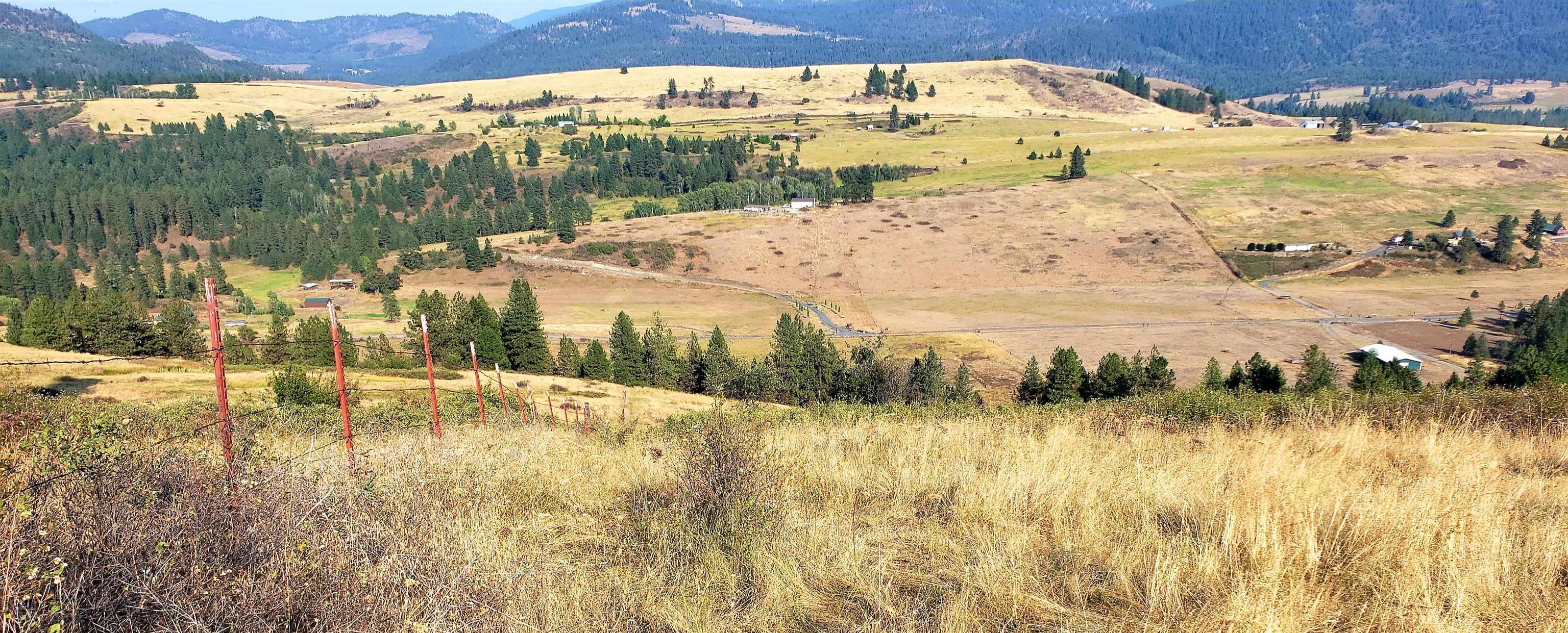14-xx Pritchard Road North Evans, WA 99126 - Photo 11 of 38 Gallery Image 11