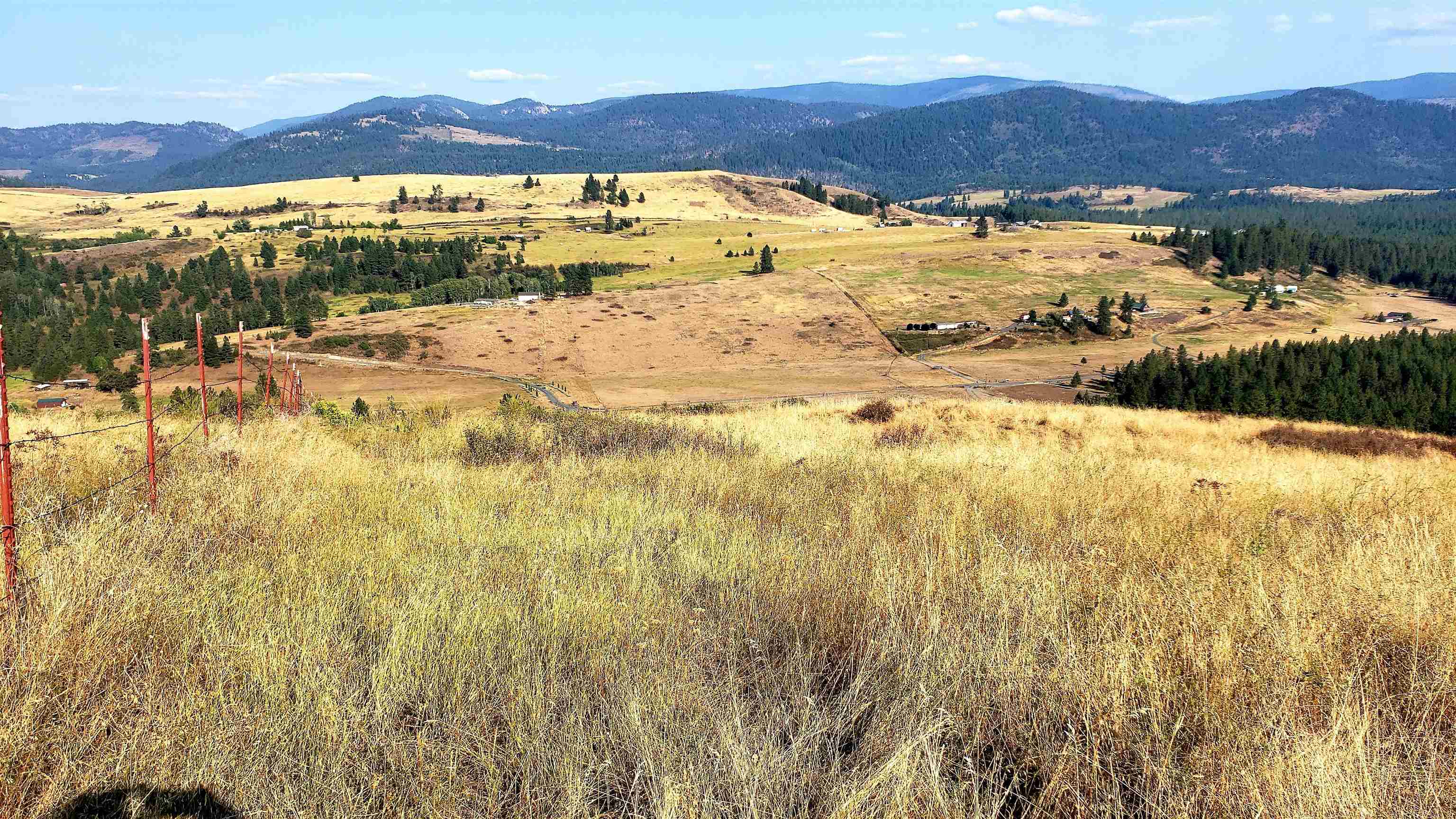 14-xx Pritchard Road North Evans, WA 99126 - Photo 14 of 38 Gallery Image 14