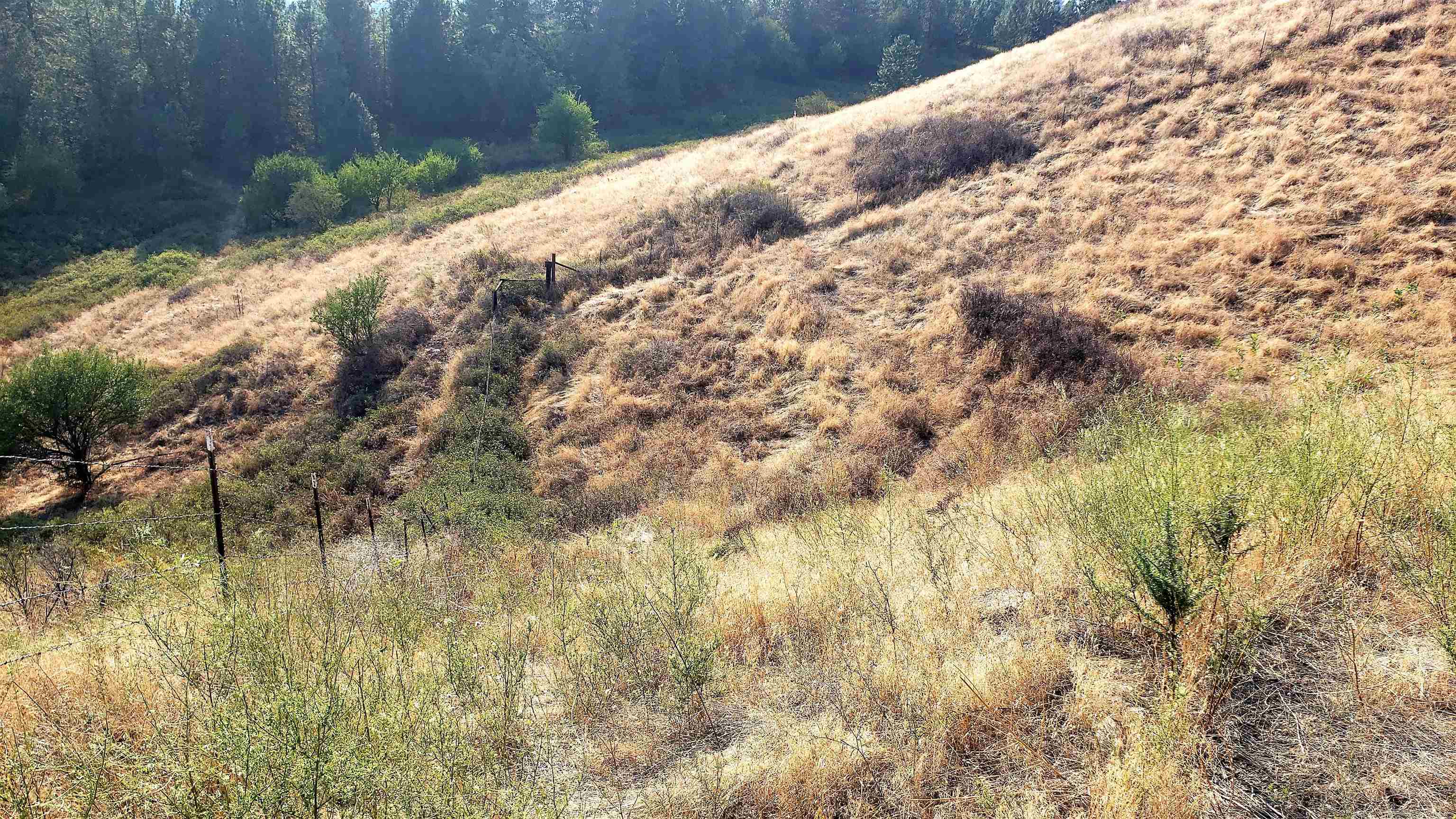 14-xx Pritchard Road North Evans, WA 99126 - Photo 2 of 38 Gallery Image 2