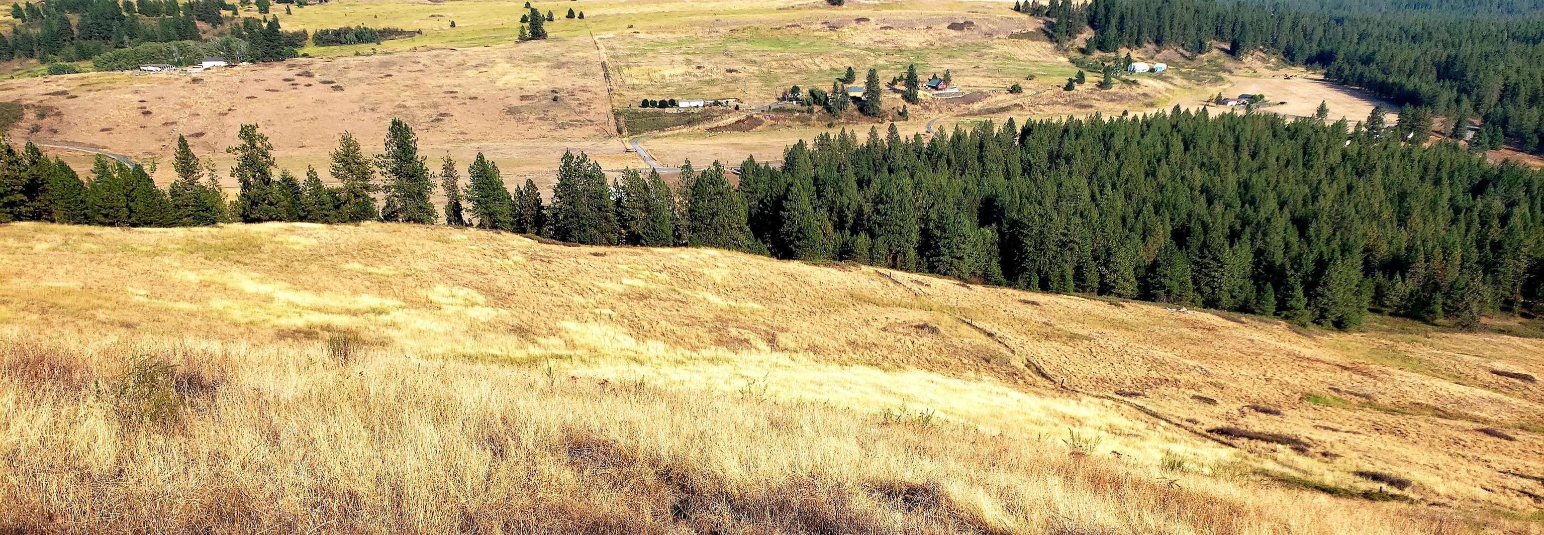 14-xx Pritchard Road North Evans, WA 99126 - Photo 4 of 38 Gallery Image 4