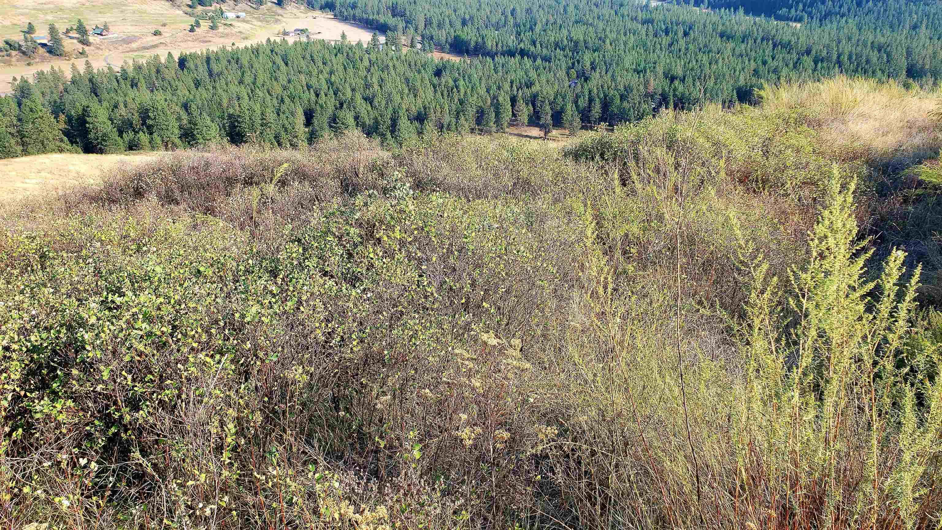 14-xx Pritchard Road North Evans, WA 99126 - Photo 5 of 38 Gallery Image 5