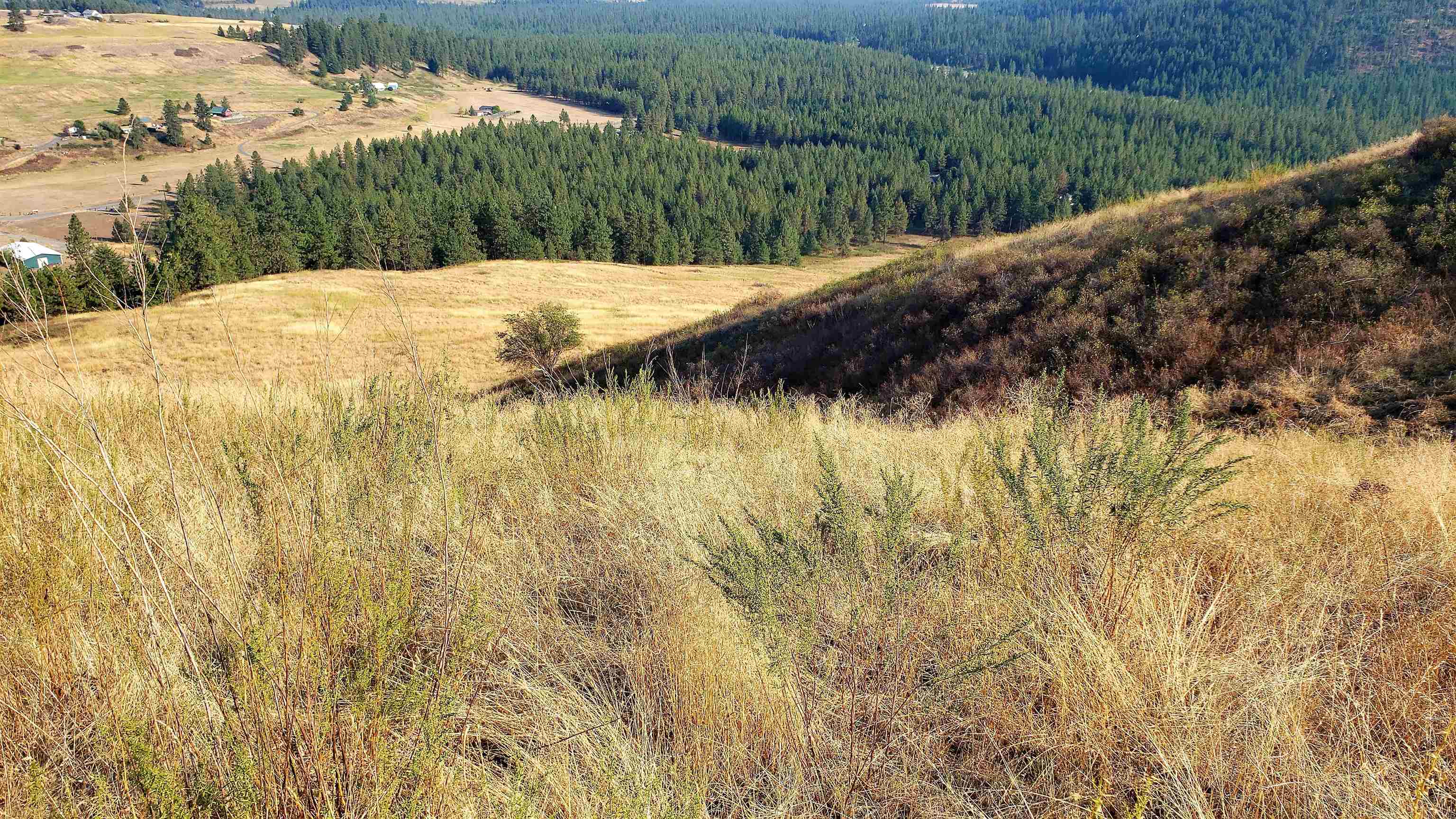 14-xx Pritchard Road North Evans, WA 99126 - Photo 6 of 38 Gallery Image 6