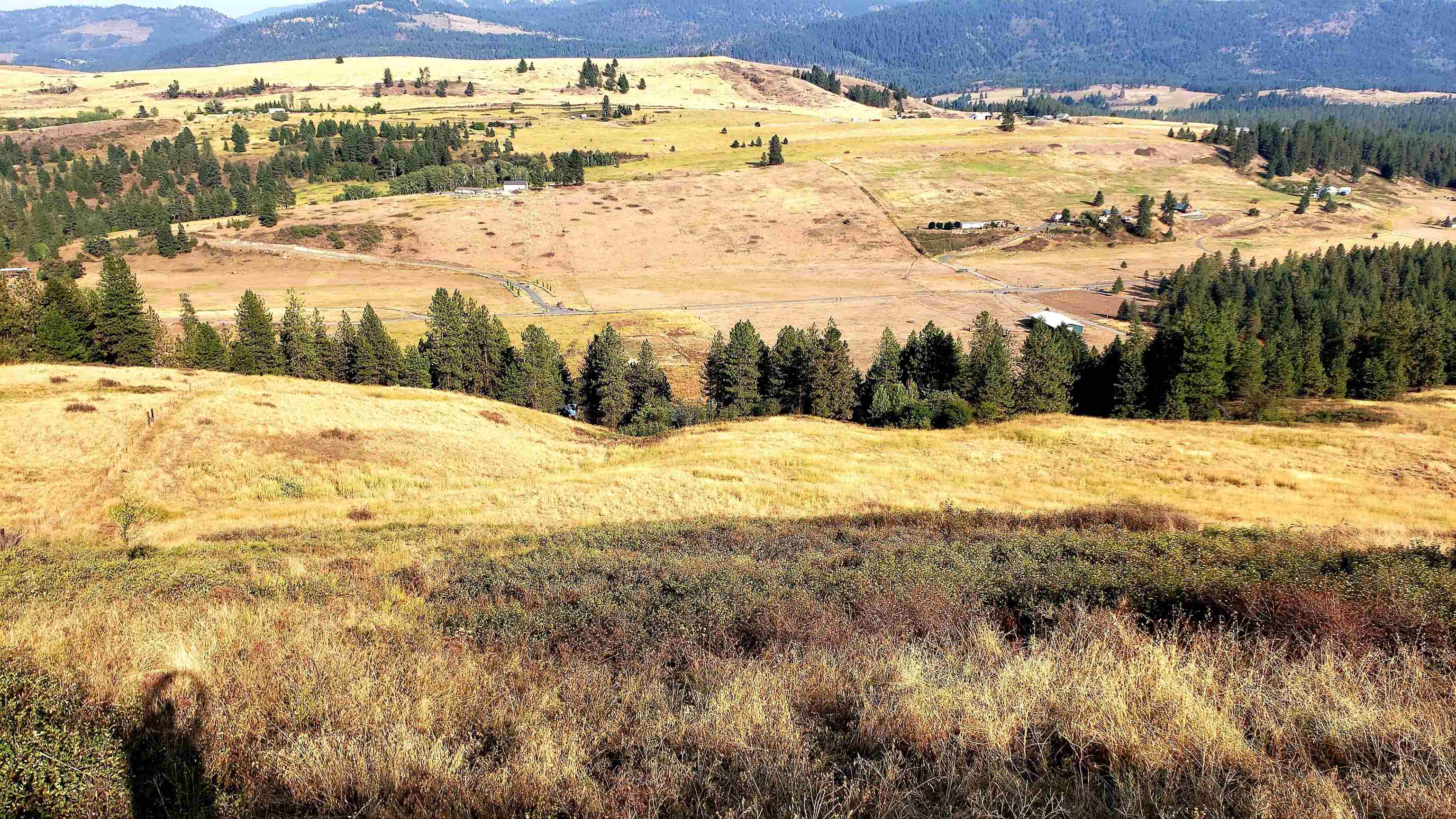 14-xx Pritchard Road North Evans, WA 99126 - Photo 9 of 38 Gallery Image 9