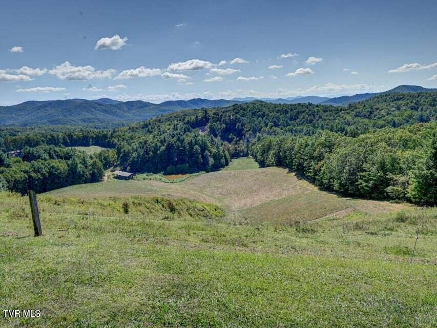 5200 Greene Mountain Road Greeneville, TN 37743 - Photo 4 of 47 5200 - 18