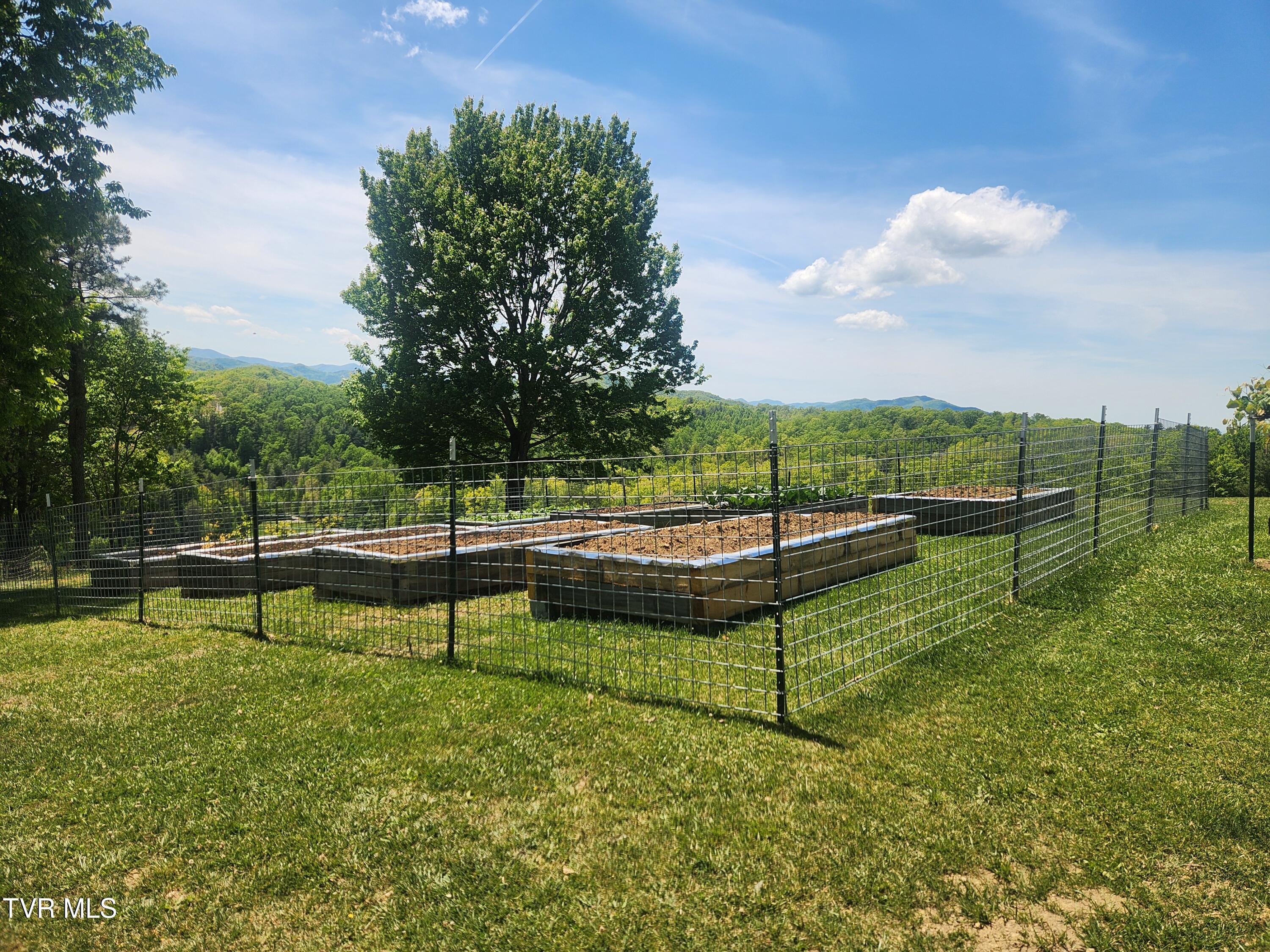 5200 Greene Mountain Road Greeneville, TN 37743 - Photo 42 of 47 1000012669