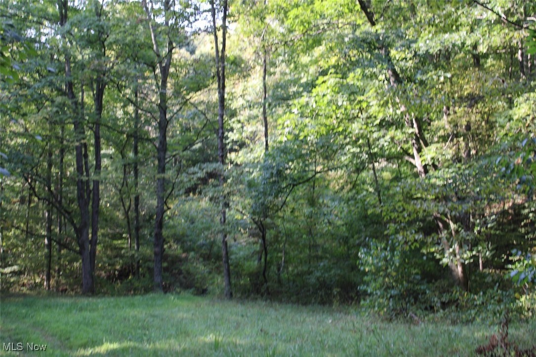 Leffler Road Roseville, OH 43777 - Photo 29 of 49 View of landscape