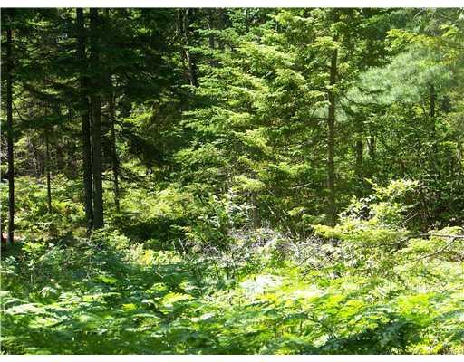 Lot 2 Round The Island Road Vinalhaven, ME 04863 - Photo 2 of 2 Land.