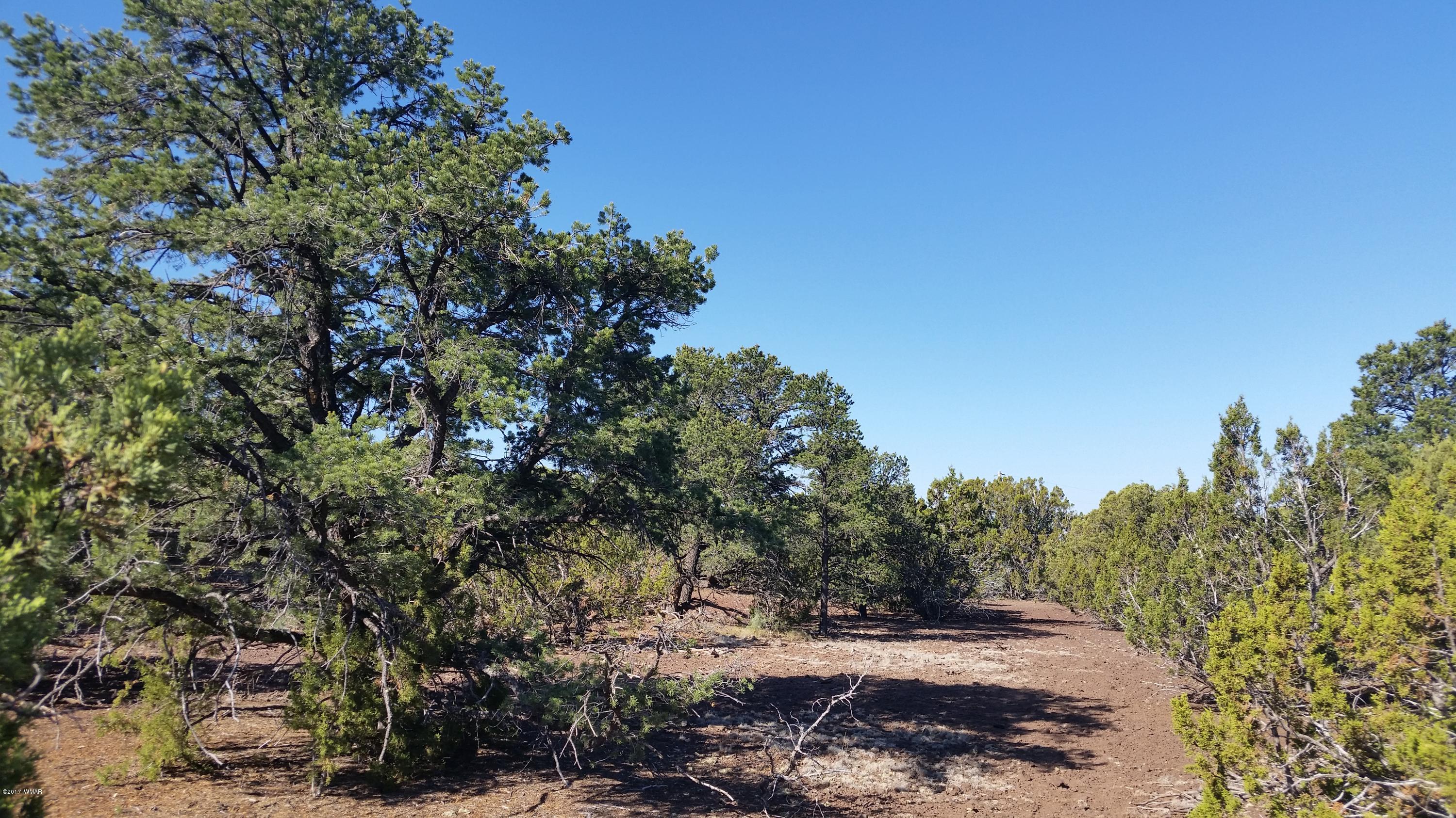 Lot 21 North Mountain Pine Road Show Low, AZ 85901 - Photo 1 of 5 a view of a road with trees in the background