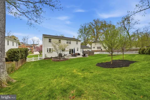a view of a park with large trees