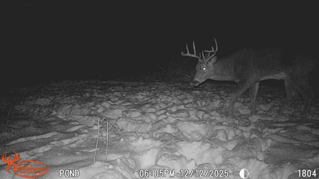 N7265 County Rd BB Spring Valley, WI 54767 - Photo 40 of 41