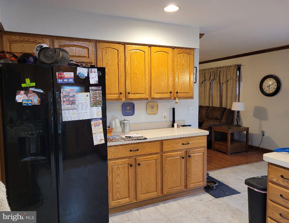 36423 Robin Hood Road Delmar, DE 19940 - Photo 11 of 25 Pantry , Pull out drawers and lazy susan