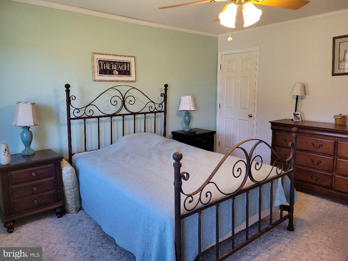 36423 Robin Hood Road Delmar, DE 19940 - Photo 15 of 25 Main Bedroom
