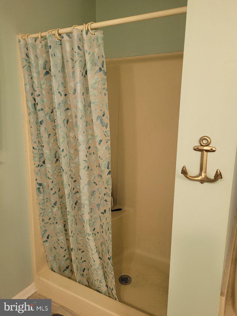 36423 Robin Hood Road Delmar, DE 19940 - Photo 18 of 25 Walk-in shower
