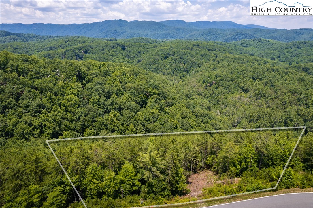 241 Red Cedar Road Boone, NC 28607 - Photo 3 of 30 a view of a forest