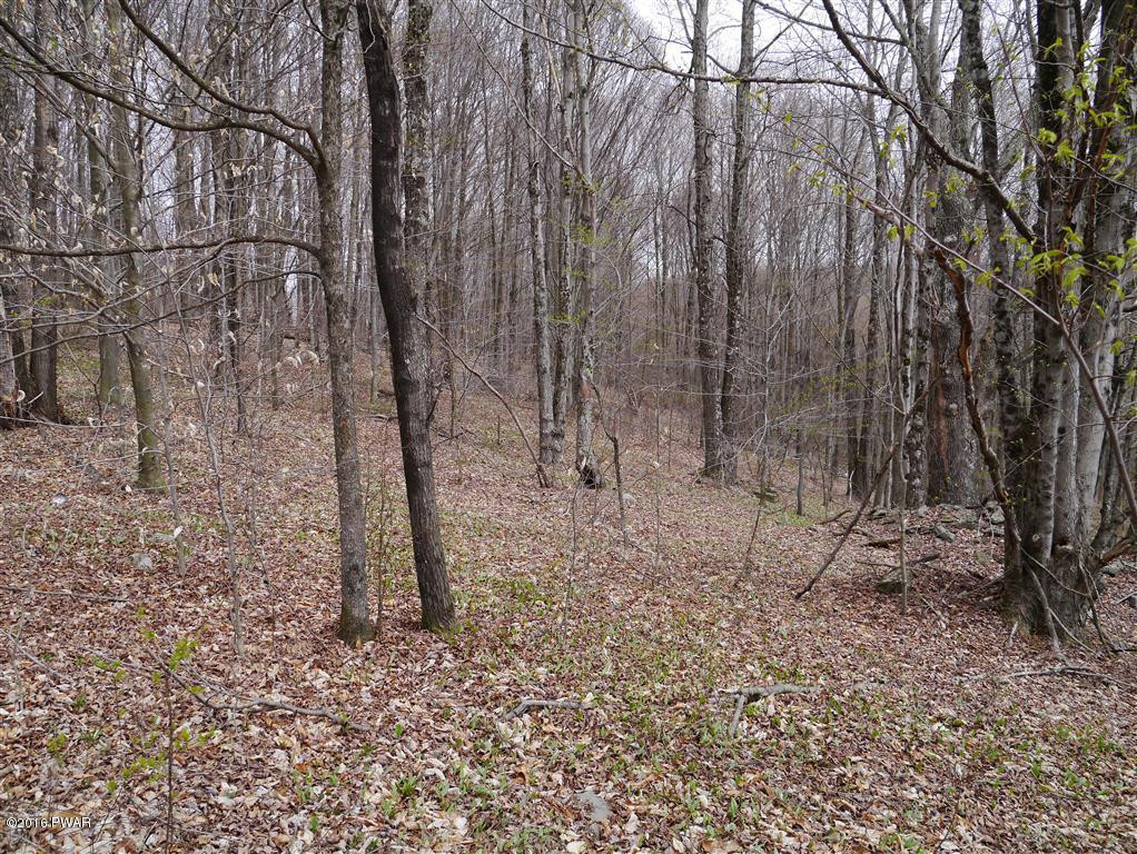4007 L R Road Pleasant Mount, PA 18453 - Photo 3 of 3