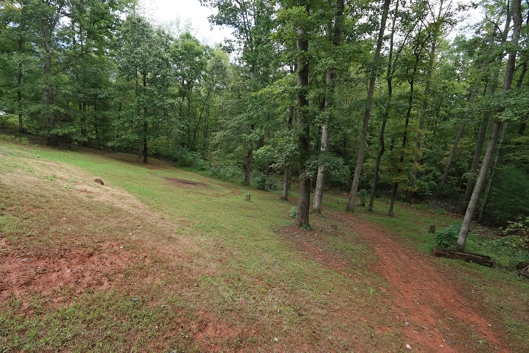 160 Mt Airy Road Hardy, VA 24101 - Photo 12 of 46 Back Yard