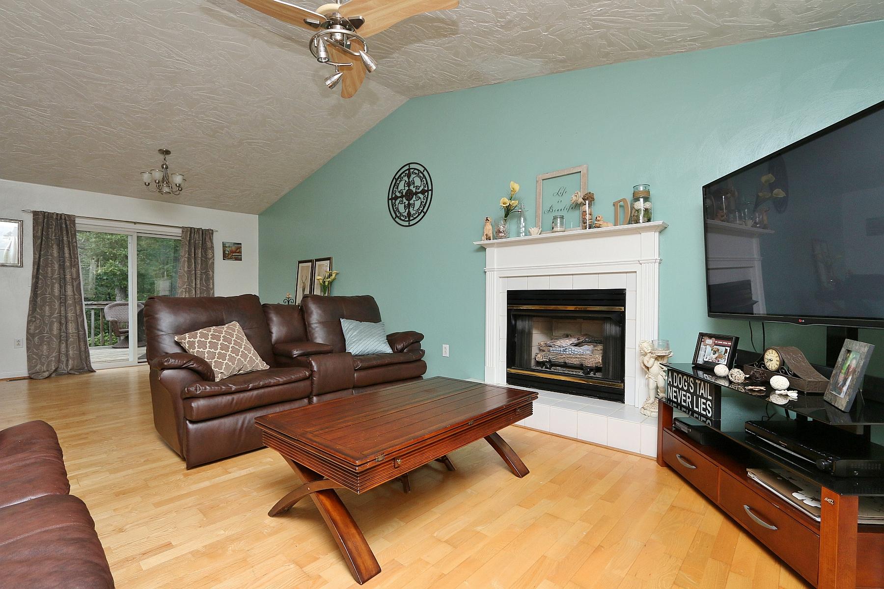 160 Mt Airy Road Hardy, VA 24101 - Photo 16 of 46 Gas Log Fireplace in living room
