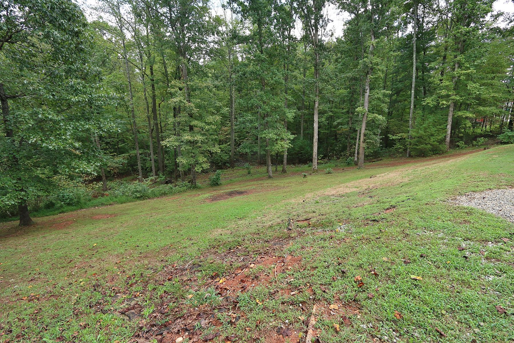 160 Mt Airy Road Hardy, VA 24101 - Photo 9 of 46 Back yard