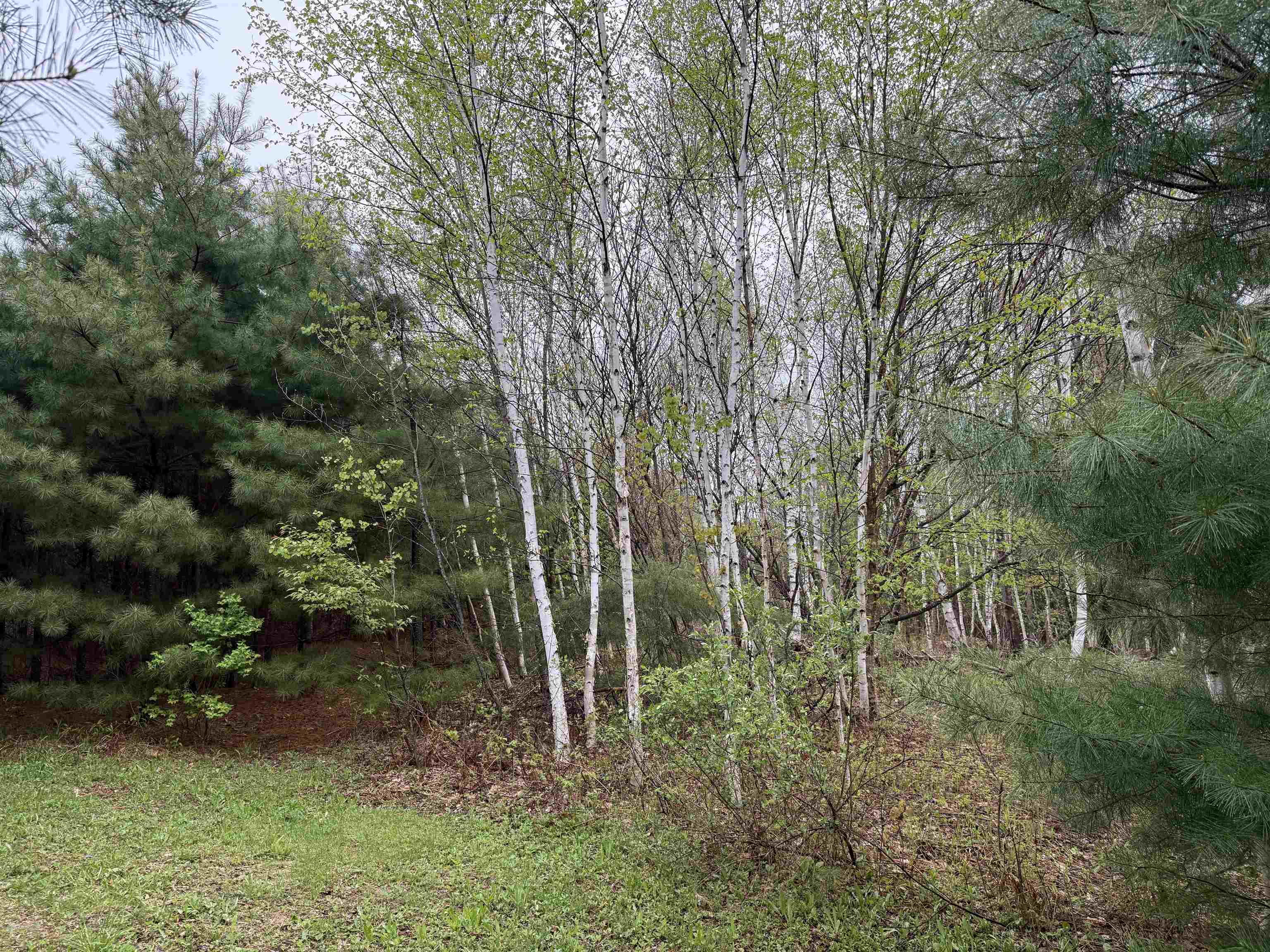 3781 Flamstead Road Chester, VT 05143 - Photo 19 of 59 Gallery Image 19