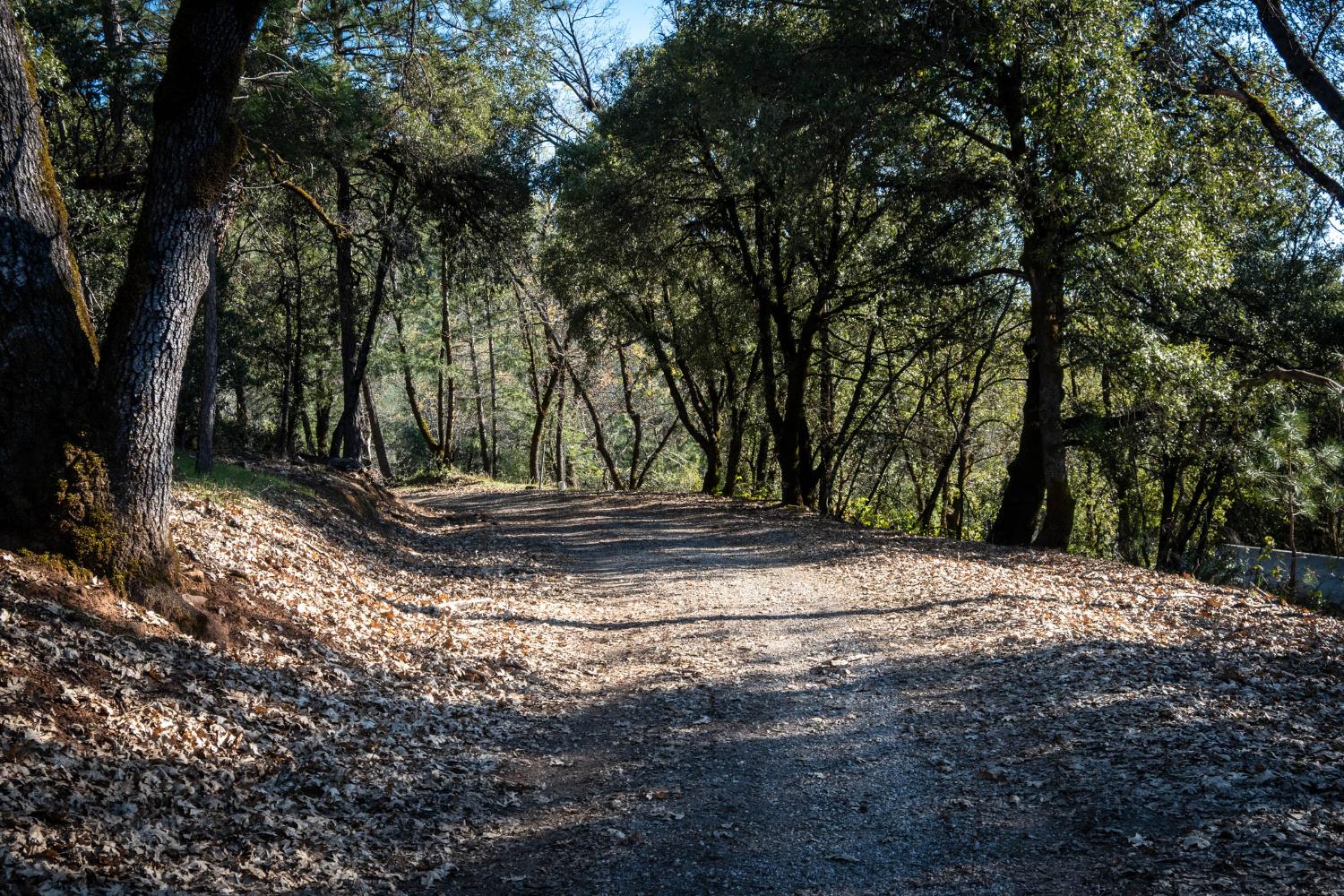 0 Buck Ridge Court Colfax, CA 95713 - Photo 6 of 8 a view of outdoor space with trees