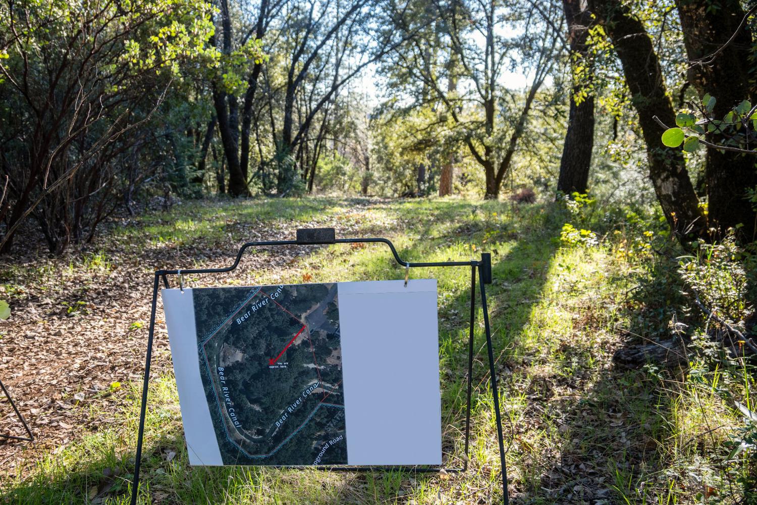 0 Buck Ridge Court Colfax, CA 95713 - Photo 7 of 8 a view of a yard with plants and large trees