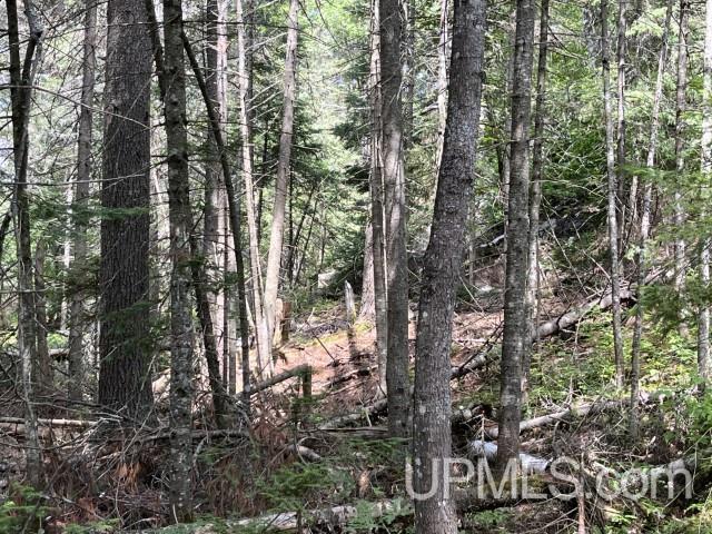 20-acres Willow Creek Road Negaunee, MI 49866 - Photo 2 of 17