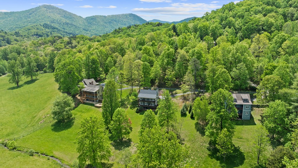 203 Evergreen Road Hiawassee, GA 30546 - Photo 5 of 41 Tranquility in the Mountains