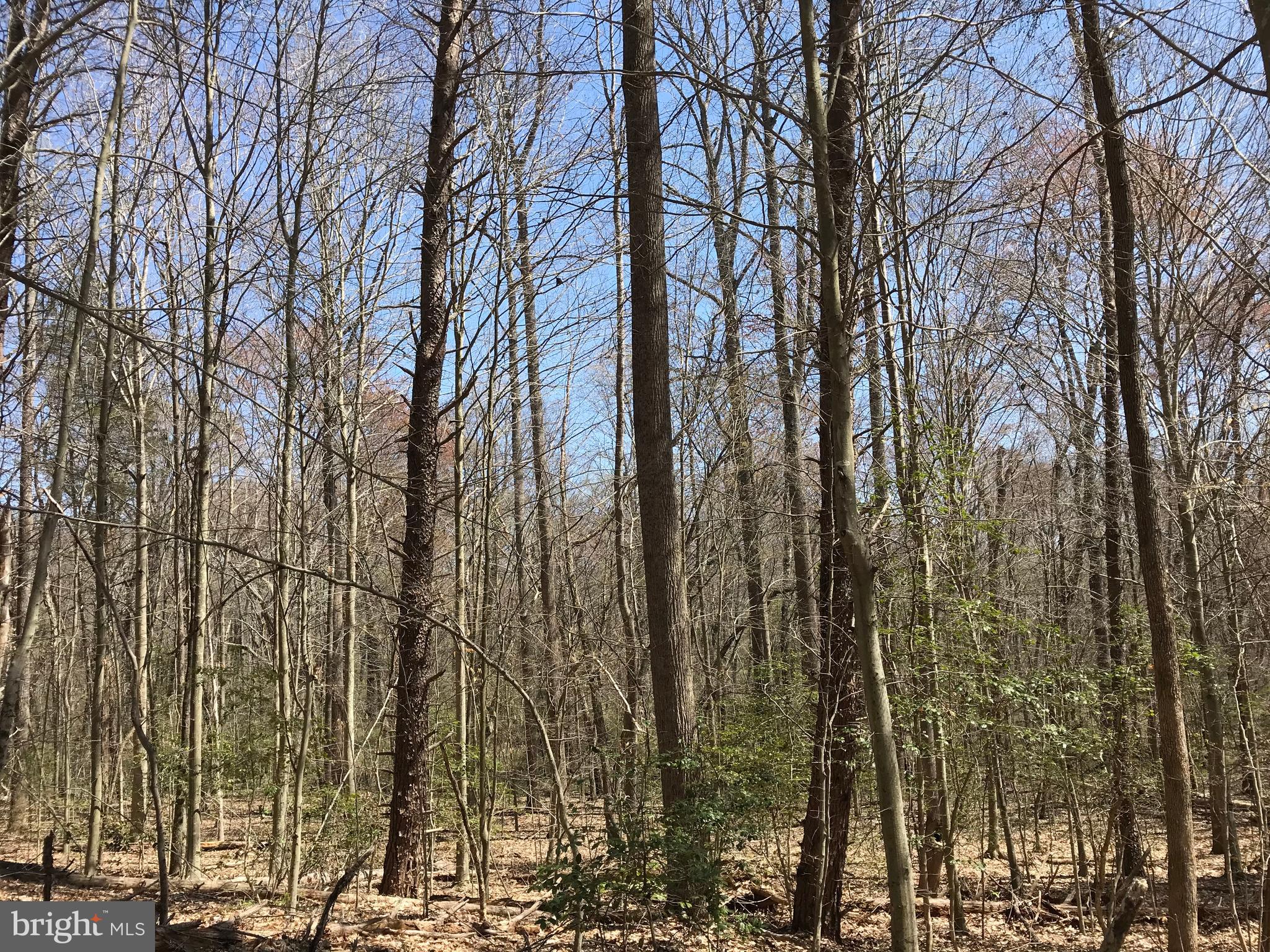 Dickerson Road Bumpass, VA 23024 - Photo 13 of 18