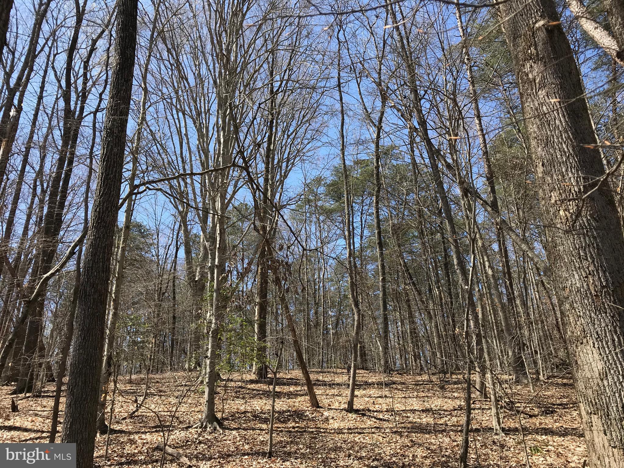 Dickerson Road Bumpass, VA 23024 - Photo 14 of 18