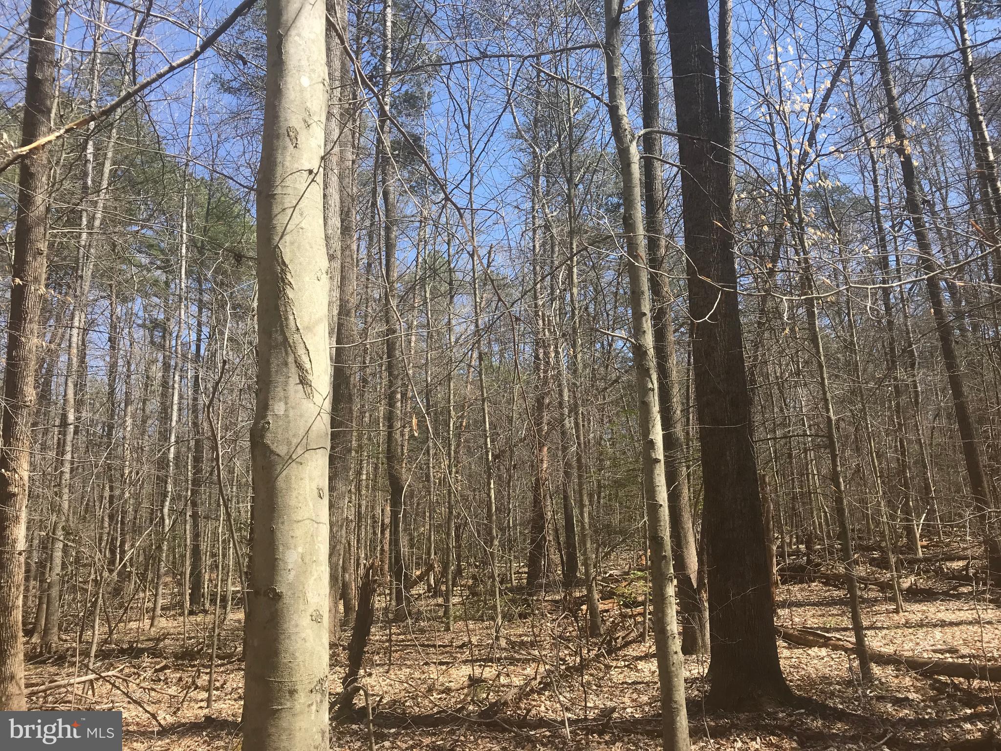 Dickerson Road Bumpass, VA 23024 - Photo 17 of 18