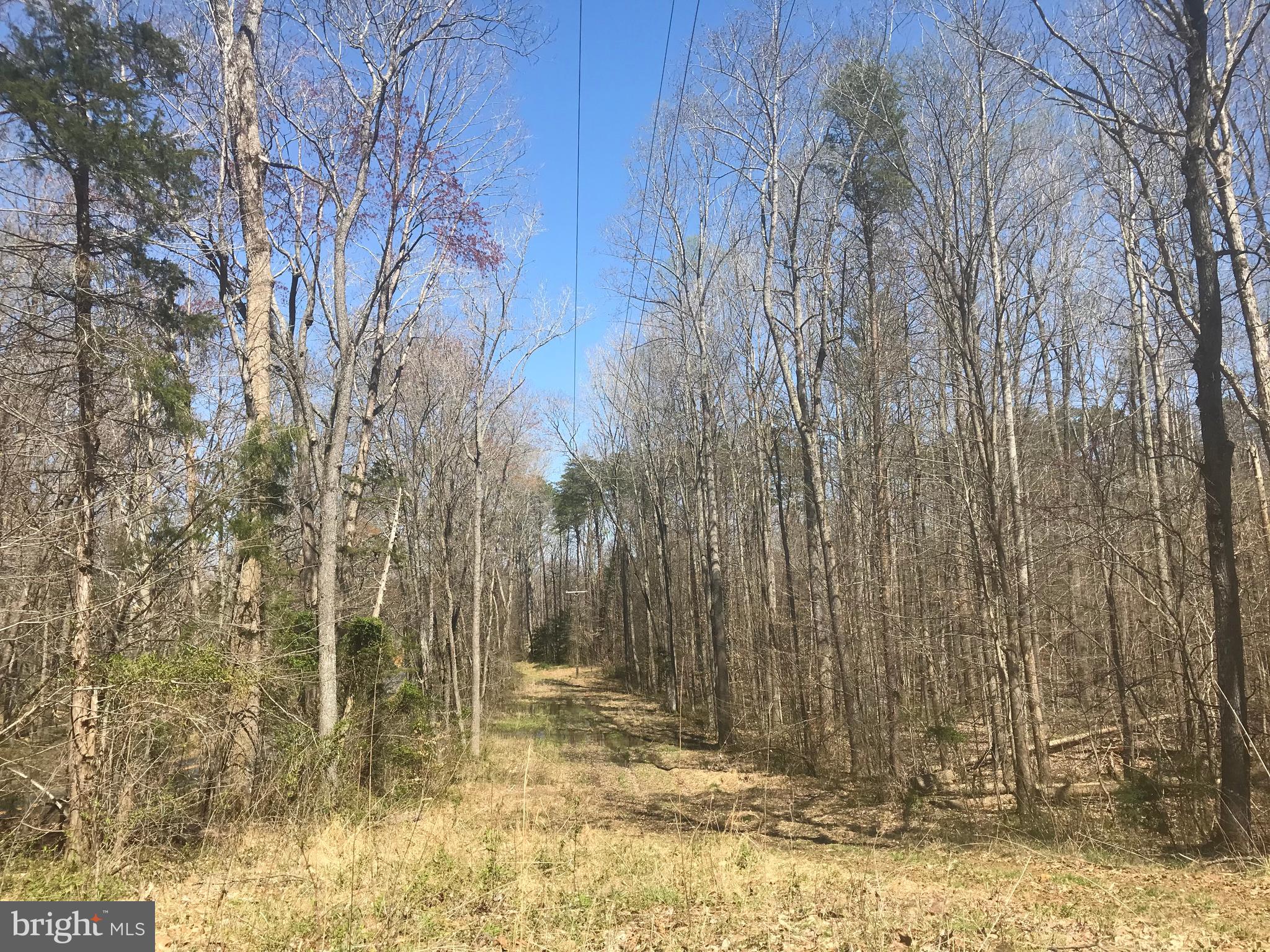 Dickerson Road Bumpass, VA 23024 - Photo 18 of 18
