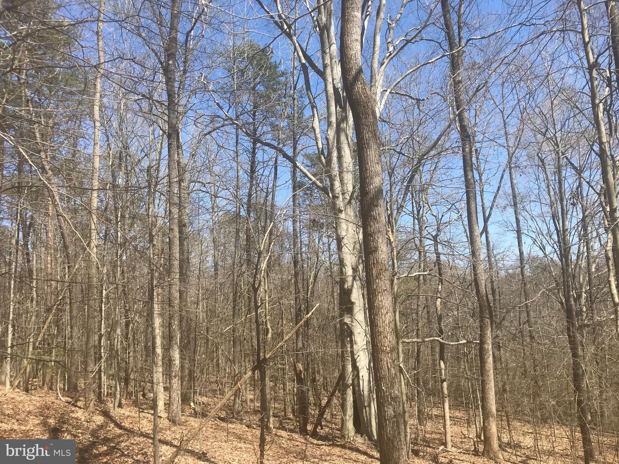 Dickerson Road Bumpass, VA 23024 - Photo 3 of 18