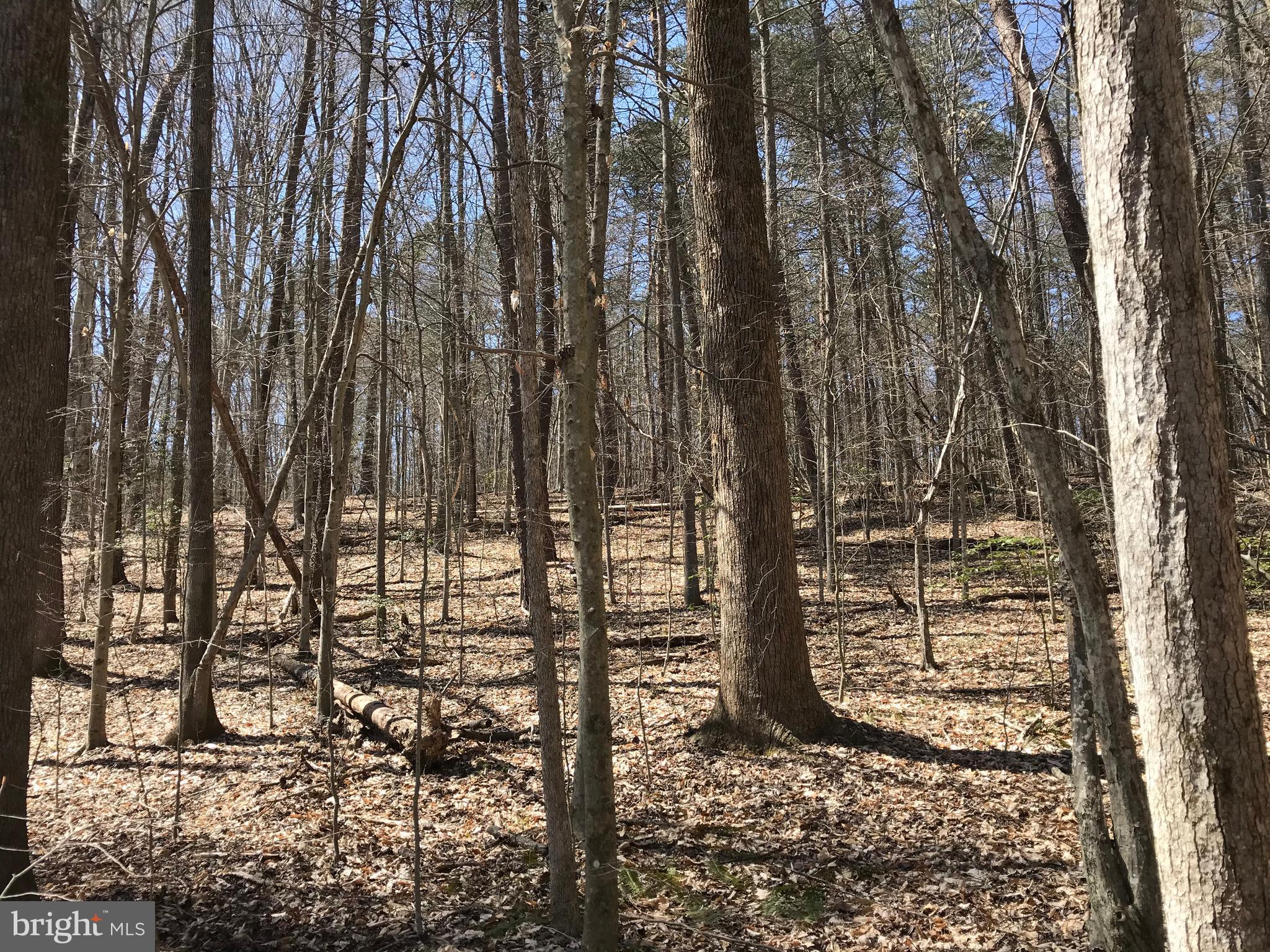 Dickerson Road Bumpass, VA 23024 - Photo 4 of 18